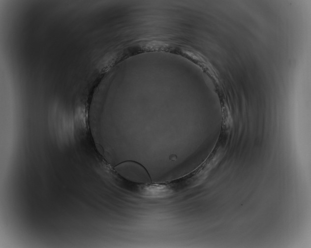 X0000100500669200806131437