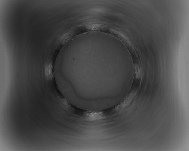 X0000100500670200806131437