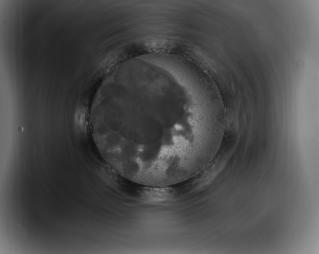 X0000100500671200806131437