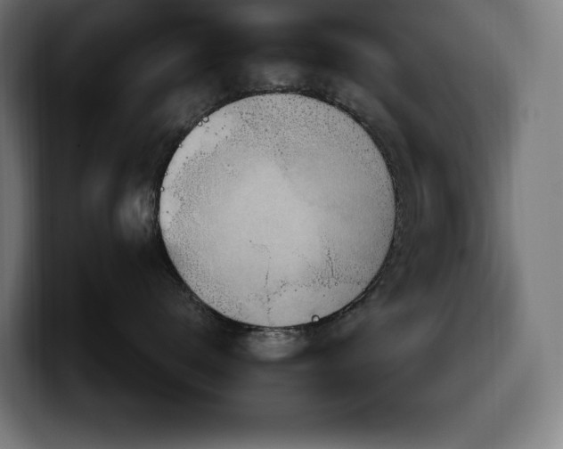 X0000100500672200806131437