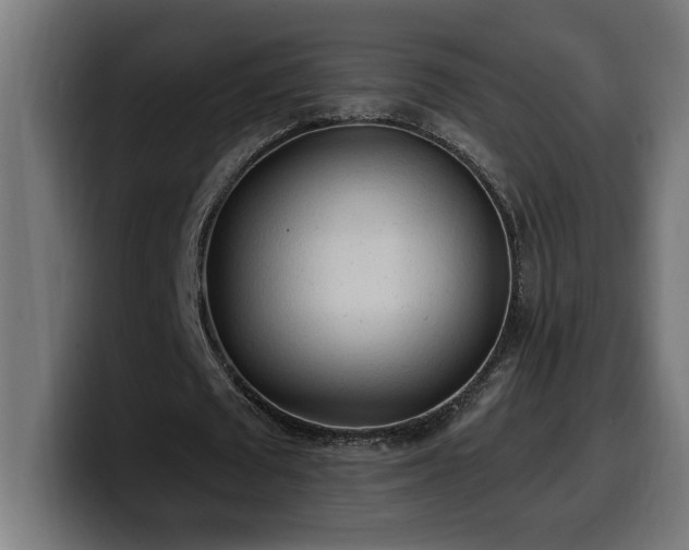 X0000100500673200806131437