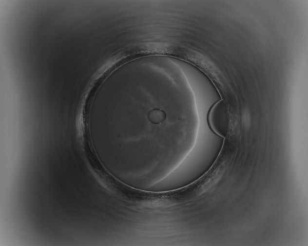 X0000100500674200806131437