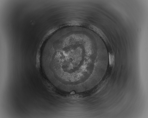 X0000100500675200806131437