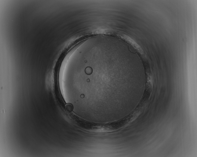 X0000100500678200806131437