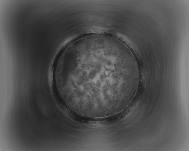 X0000100500679200806131437