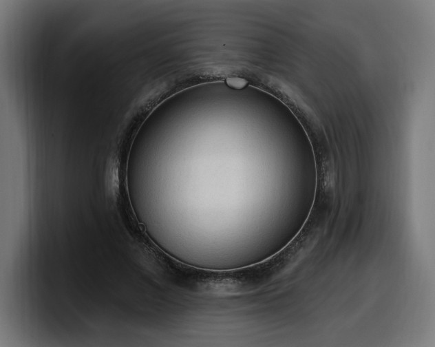 X0000100500685200806131437