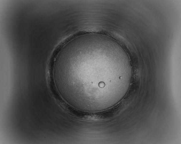 X0000100500688200806131437