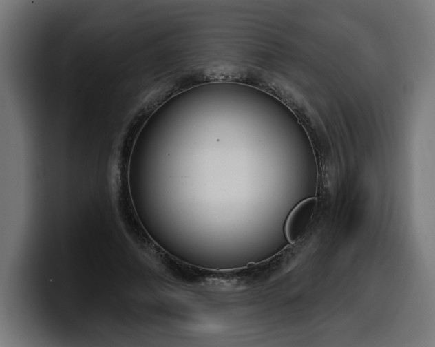 X0000100500690200806131437