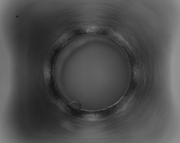 X0000100500691200806131437