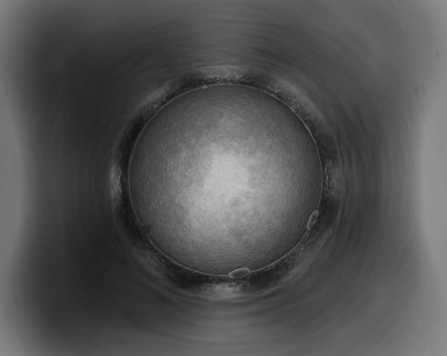 X0000100500692200806131437