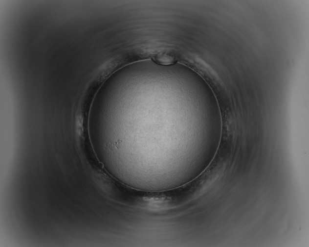 X0000100500693200806131437