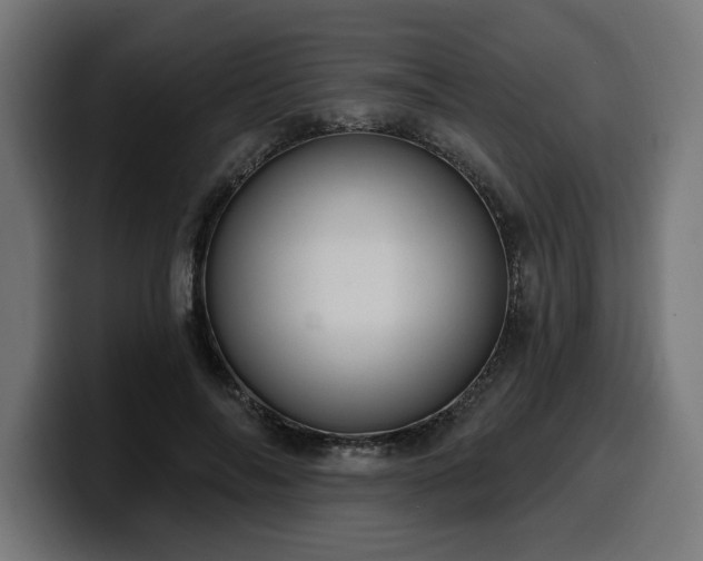 X0000100500694200806131437