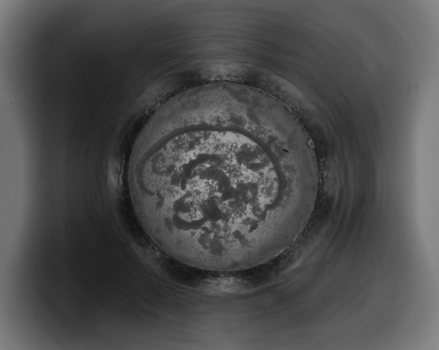 X0000100500695200806131436