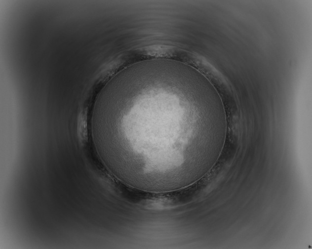 X0000100500696200806131436