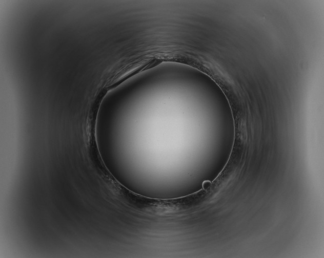 X0000100500697200806131436