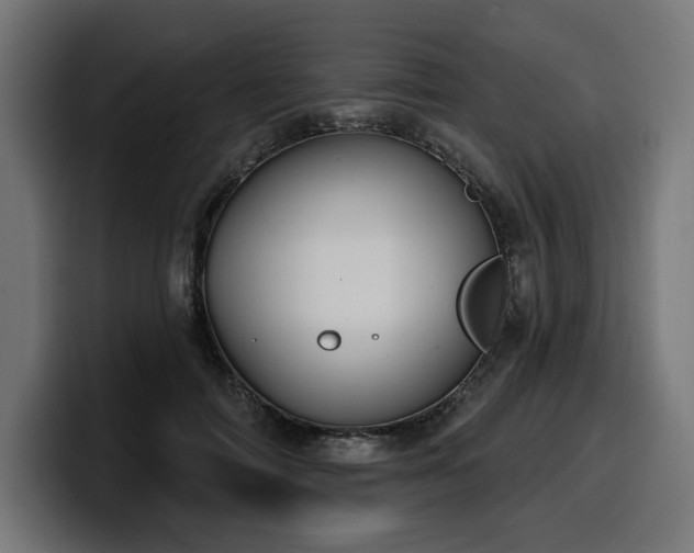 X0000100500698200806131436