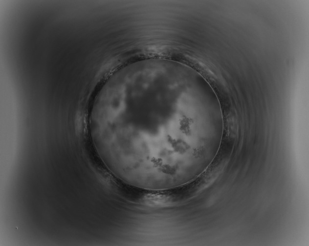 X0000100500699200806131436