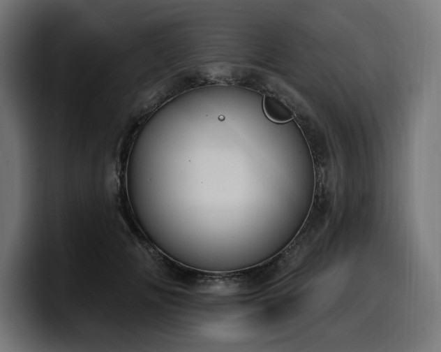 X0000100500702200806131436