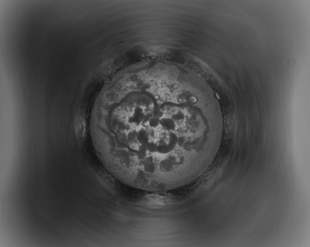 X0000100500703200806131436