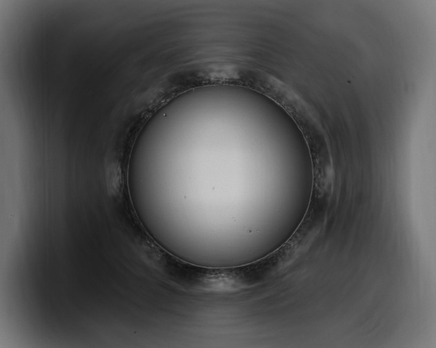 X0000100500704200806131436