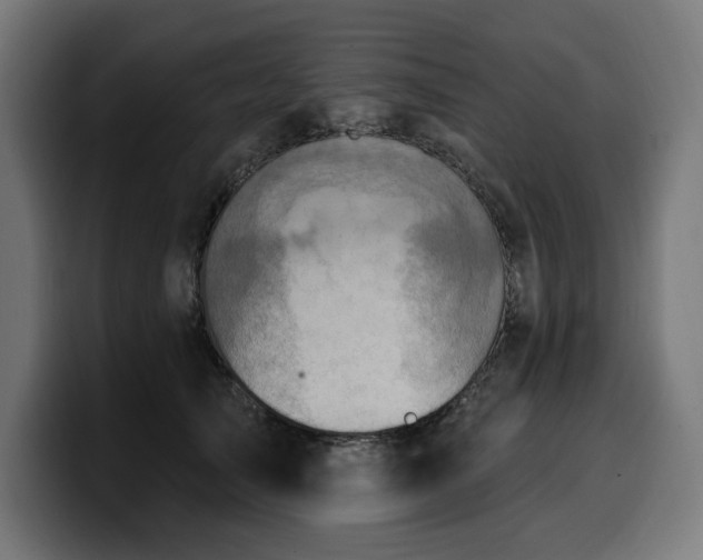 X0000100500705200806131436