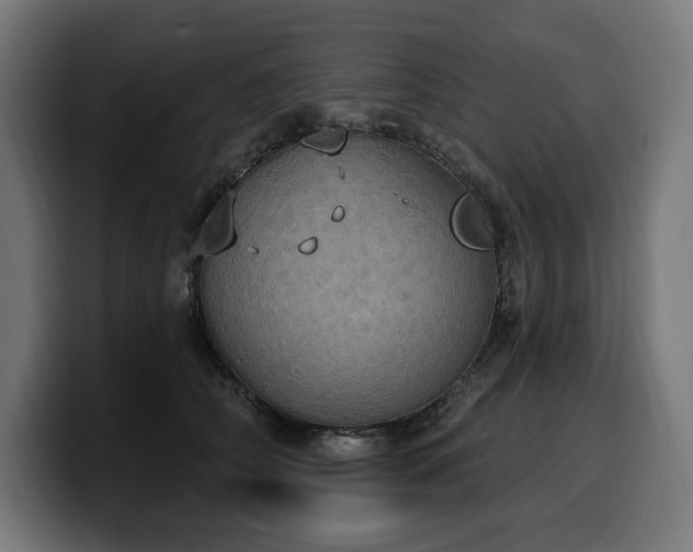 X0000100500706200806131436