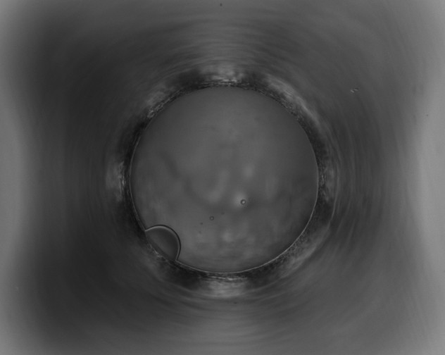 X0000100500707200806131436