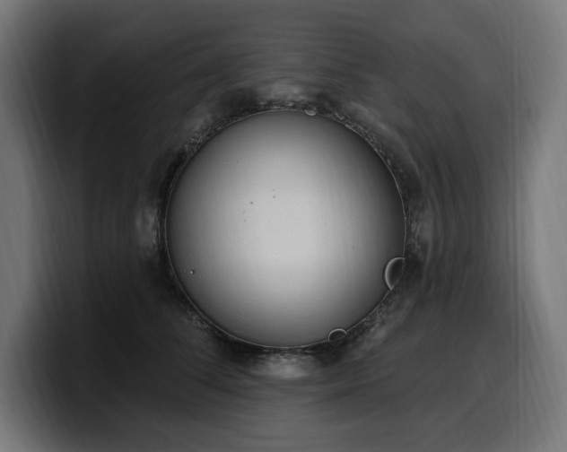 X0000100500708200806131436