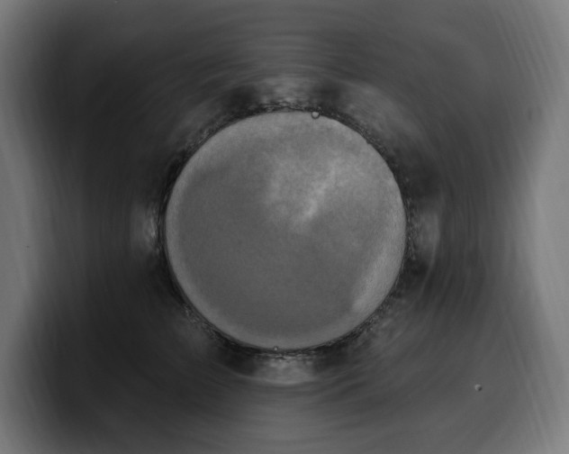 X0000100500709200806131436