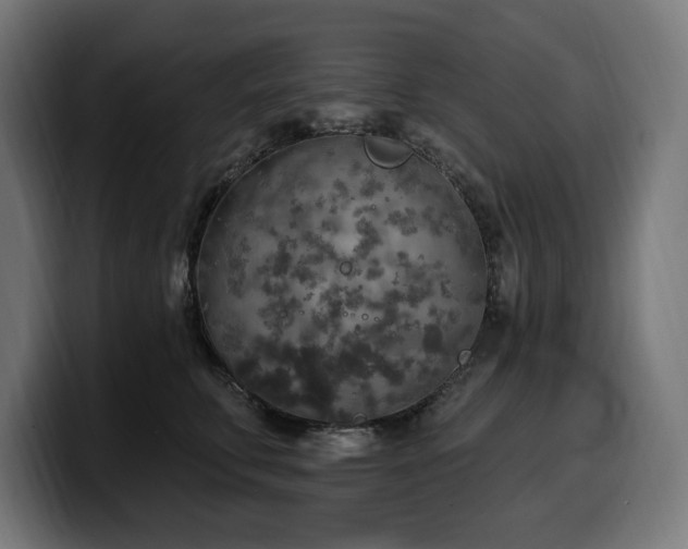 X0000100500711200806131436