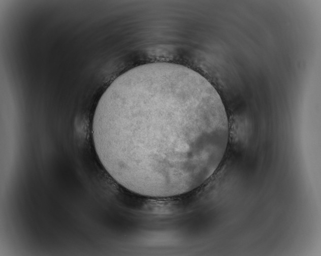 X0000100500713200806131436