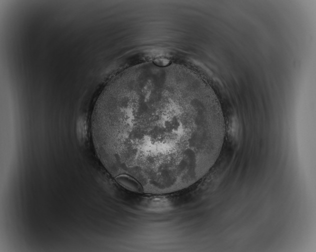 X0000100500715200806131436