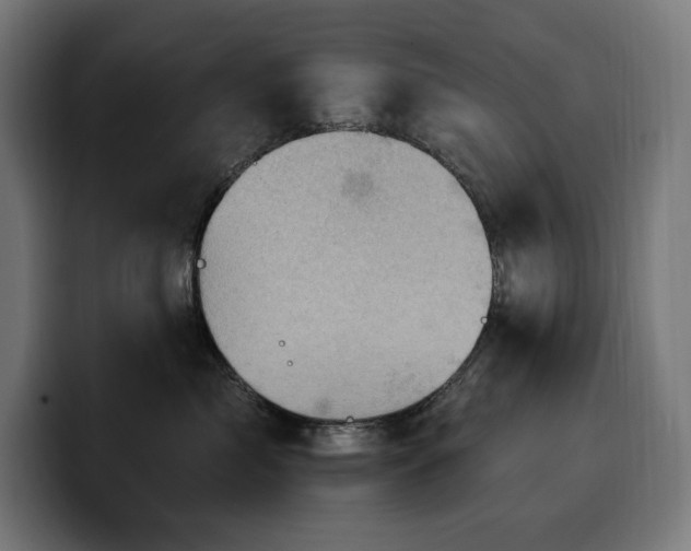 X0000100500717200806131436