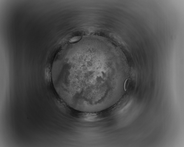 X0000100500719200806131436