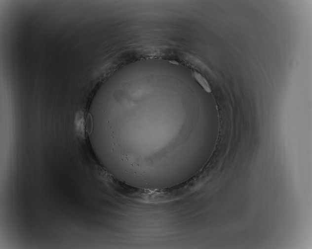 X0000100500720200806131436