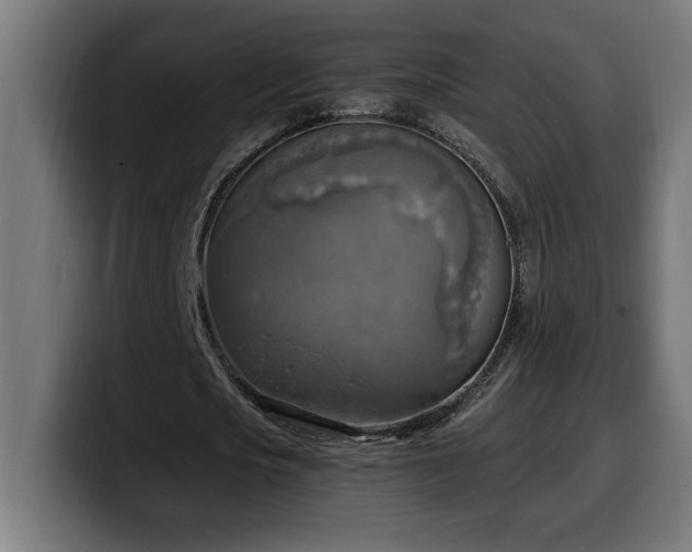 X0000100500721200806131436