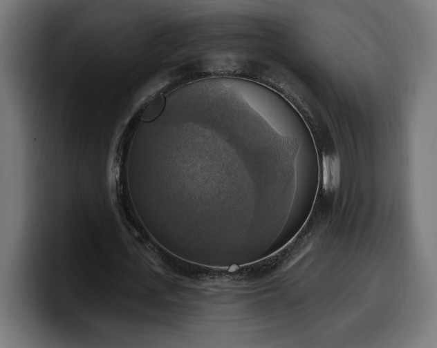 X0000100500723200806131436