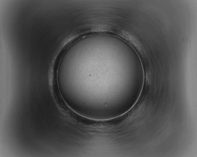 X0000100500724200806131436