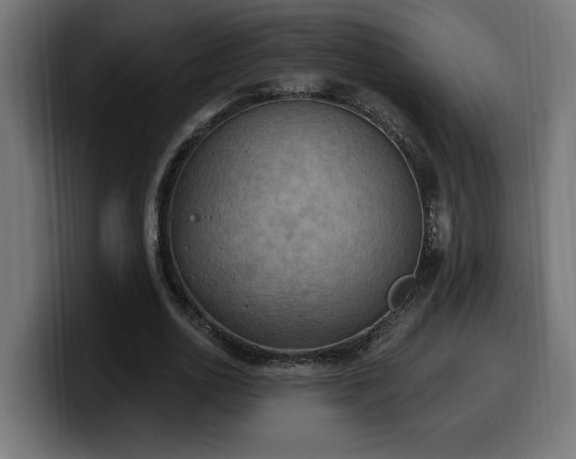 X0000100500726200806131436