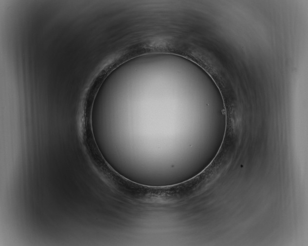 X0000100500728200806131436