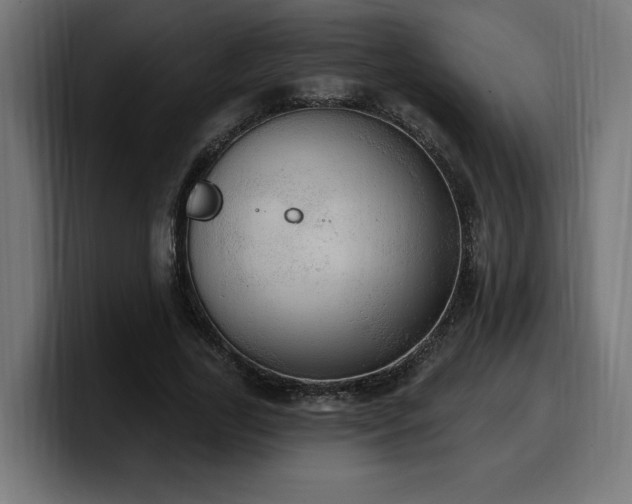 X0000100500731200806131436