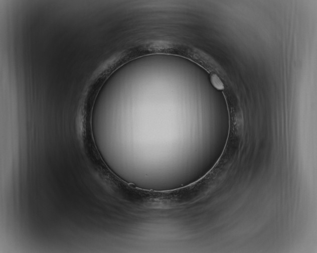 X0000100500732200806131436