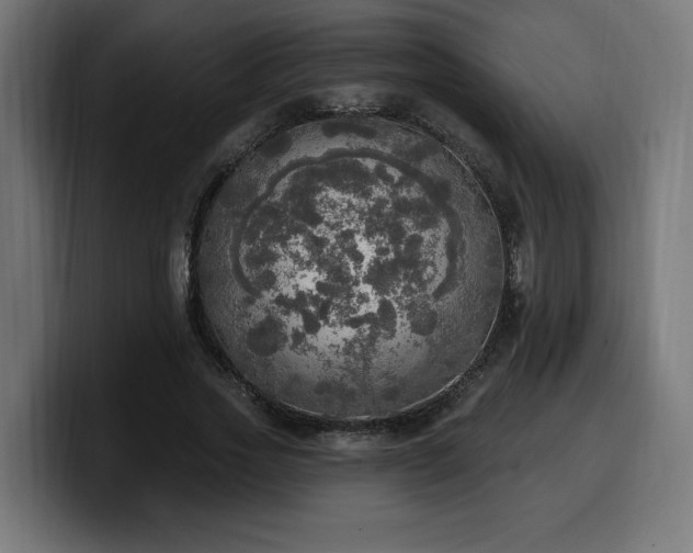 X0000100500733200806131436