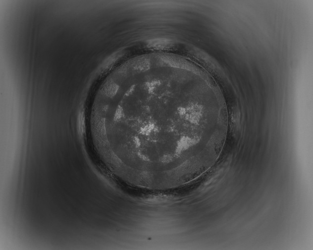 X0000100500734200806131436