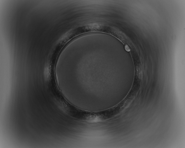 X0000100500735200806131436