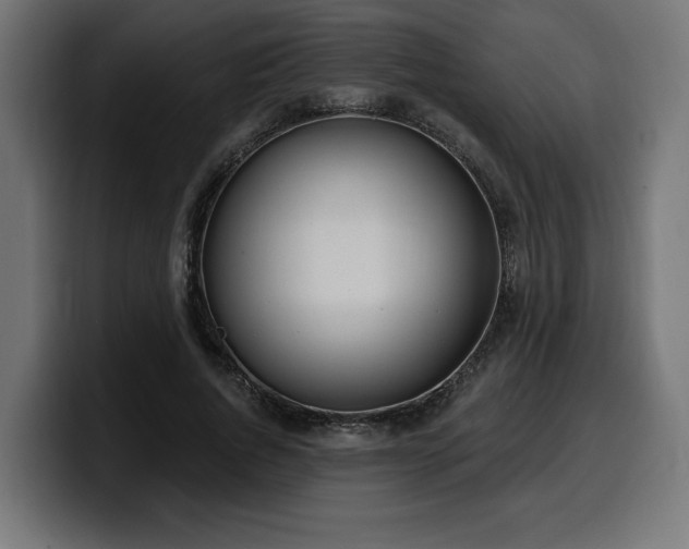 X0000100500736200806131436