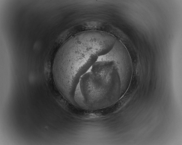 X0000100500737200806131436