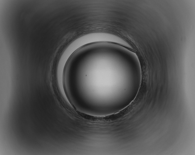 X0000100500738200806131436