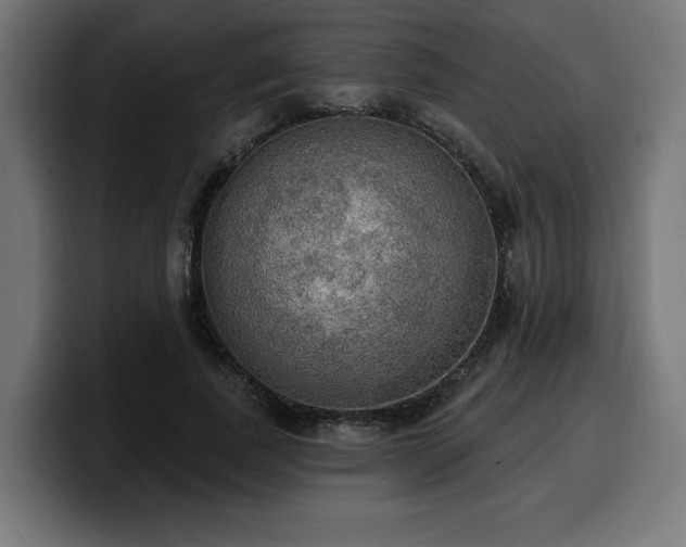 X0000100500739200806131436