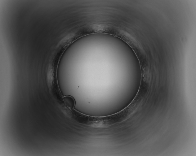 X0000100500740200806131436